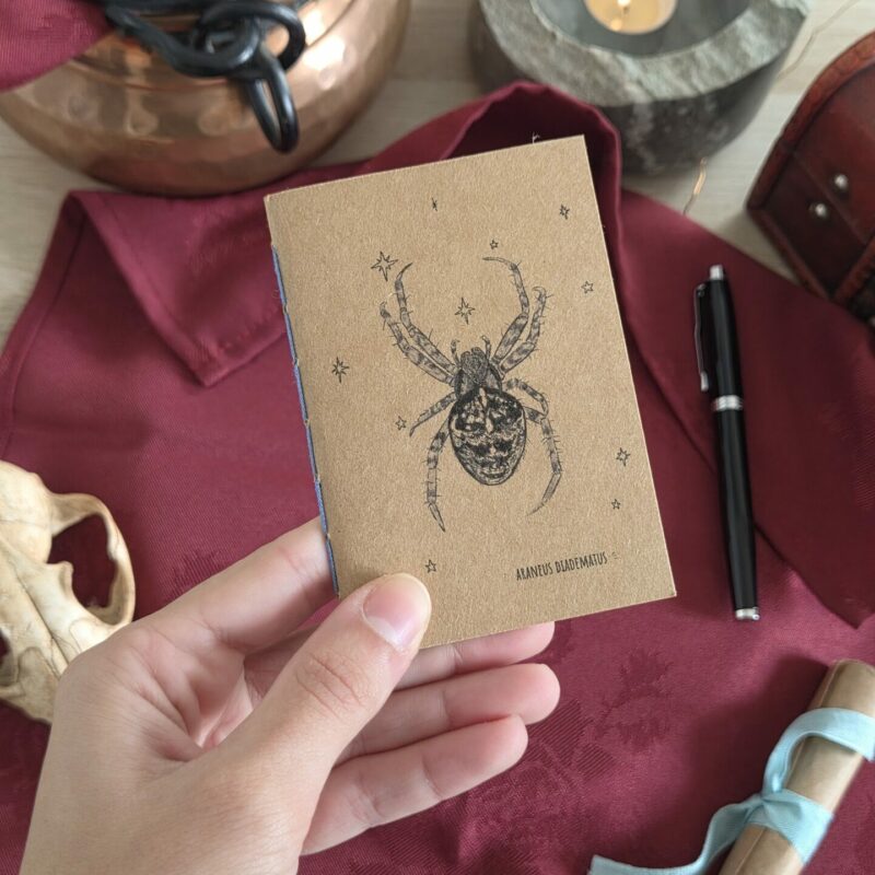 Carnet araignée