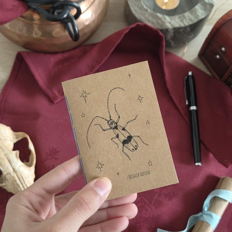 Carnet Rosalie des Alpes