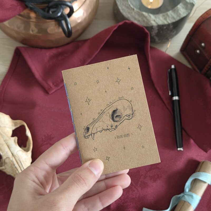 Carnet crâne de renard