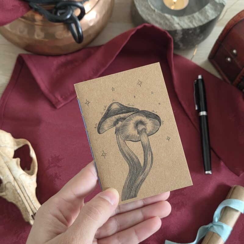 Carnet champignons
