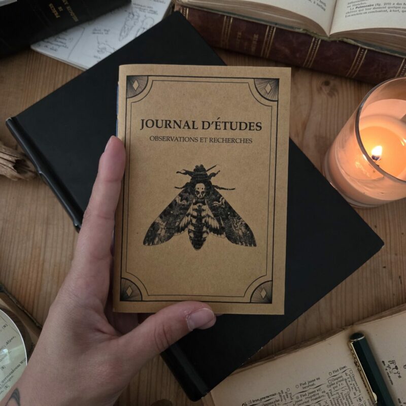 Carnet Journal d’Études papillon